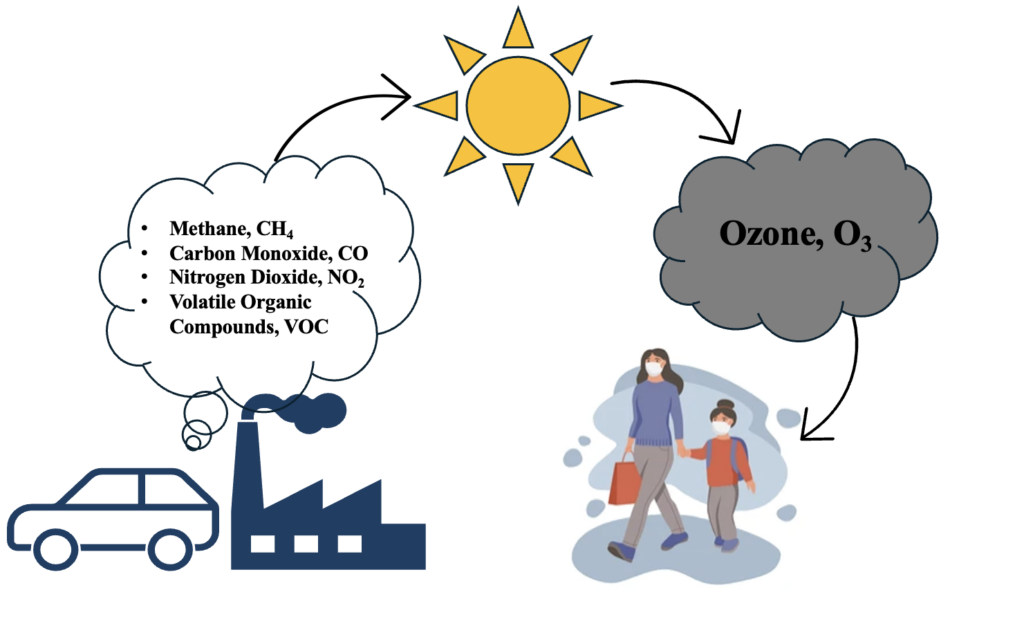 Scheme of O3 formation