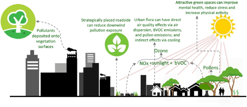 Schematic-diagram-showing-the-air-quality-benefits-and-downsides-of-green-infrastructure