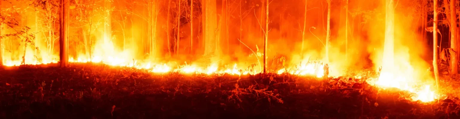 Wildfires create bad air in distant locations